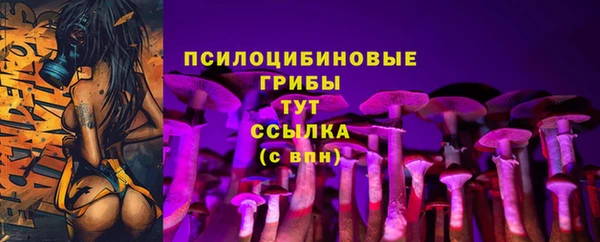 соль курить ск Осинники