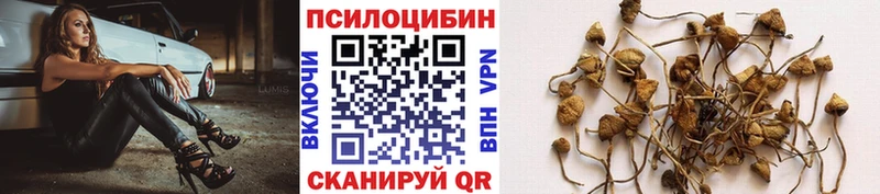 Купить  Среднеколымск  Псилоцибиновые грибы Magic Shrooms 
